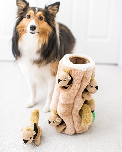 Outward Hound Kyjen Puzzle Plush Hide-a-Squirrel No Box Dog Toy, Large - Image 6